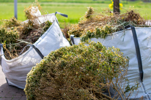 Best Estate Cleanout Services  in Folcroft, PA